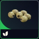Olives